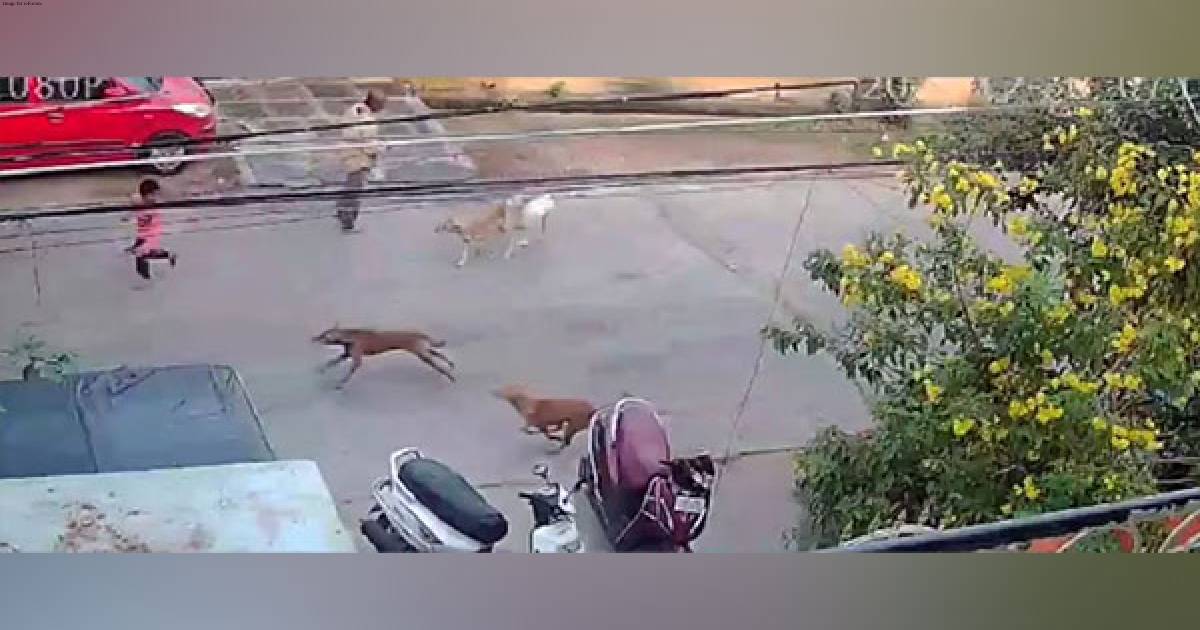 Andhra Pradesh: 6-year-boy sustains serious injuries after being attacked by stray dogs in Guntur